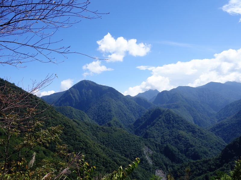 2013_1010-1012 司馬庫斯‧雪白山_001