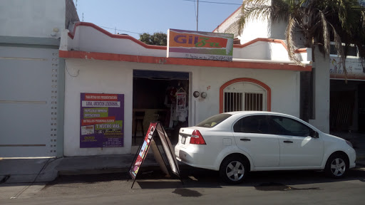 Gilza Publicidad, Calle Obreros 289, Centro, 28100 Tecomán, Col., México, Agencia de publicidad | COL