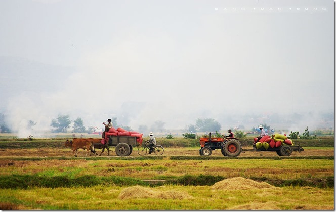 Cảnh đẹp Việt Nam, Vẻ đẹp của đất và người phương Nam