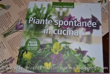 Piante spontanee in cucina (5)