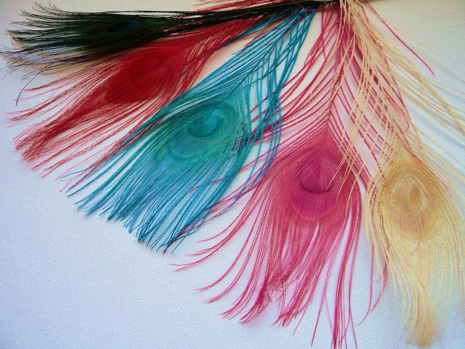 50 Turquoise Peacock Feathers