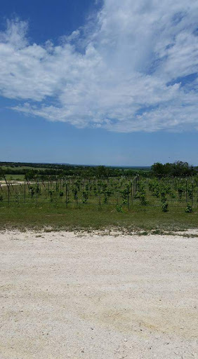 Winery «Bending Branch Winery», reviews and photos, 142 Lindner Branch Rd, Comfort, TX 78013, USA