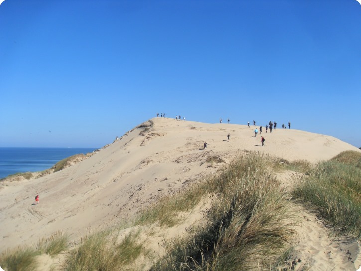 Rubjerg Knude