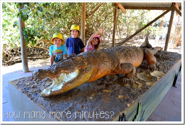 Billabong Sanctuary | How Many More Minutes?