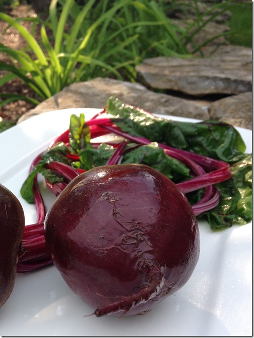 Beets from the garden for Grilled Beet and Goat Cheese Pizza | Photo | The Lisa Porter Collection