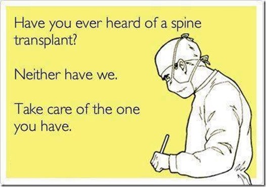 Spine-Transplant