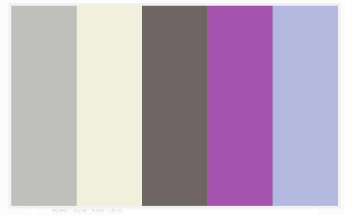 Our color palatte created by