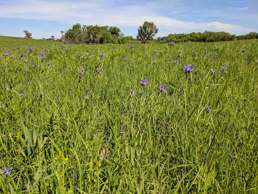 Nature Preserve «Volo Bog», reviews and photos, 28478 W Brandenburg Rd, Ingleside, IL 60041, USA