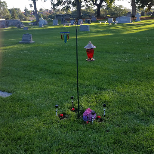 Cemetery «Green Valley Mortuary & Cemetery», reviews and photos, 3004 Alexandrite Dr, Rescue, CA 95672, USA