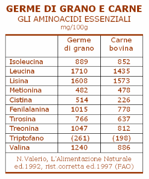 Germe di grano e carne. Aminoacidi essenziali (NV 1980)