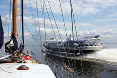 IMG_8815 IMG_8815