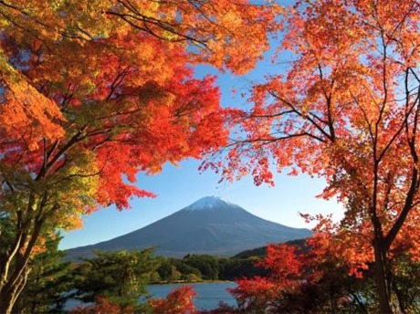 monte fuji outono