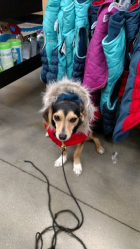 Pet Supply Store «Petco Animal Supplies», reviews and photos, 205 SE 5th St, Ames, IA 50010, USA