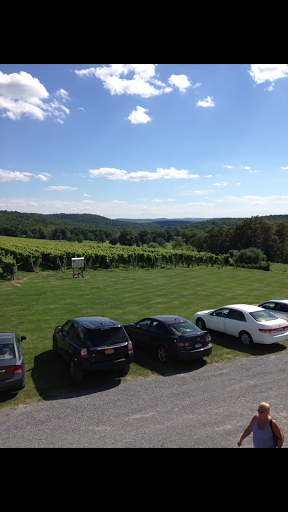 Winery «Millbrook Vineyards & Winery», reviews and photos, 26 Wing Rd, Millbrook, NY 12545, USA