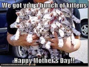 got you a bunch of kittens