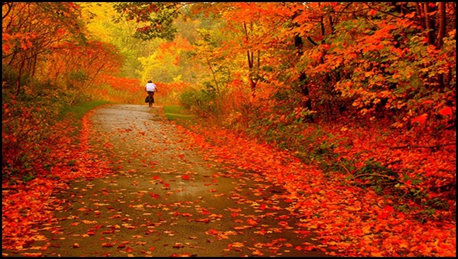Caminando entre hojas de otoño