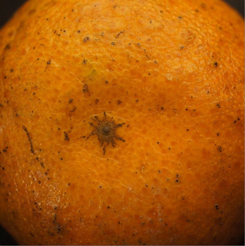 Commercial use free picture of an orange.