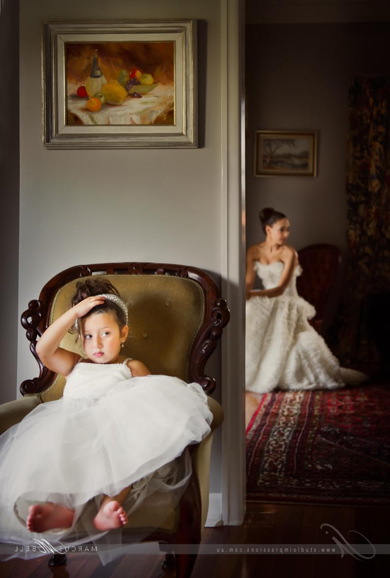 Wedding & Portrait Photography