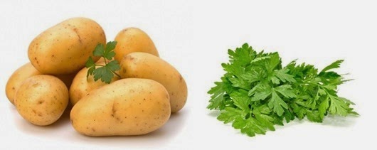 New potato and green parsley