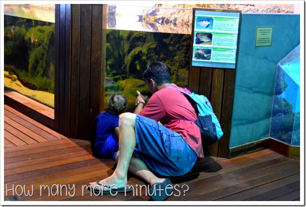 The Townsville Aquarium | How Many More Minutes?