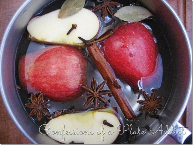 CONFESSIONS OF A PLATE ADDICT Spiced Apple Simmering Potpourri