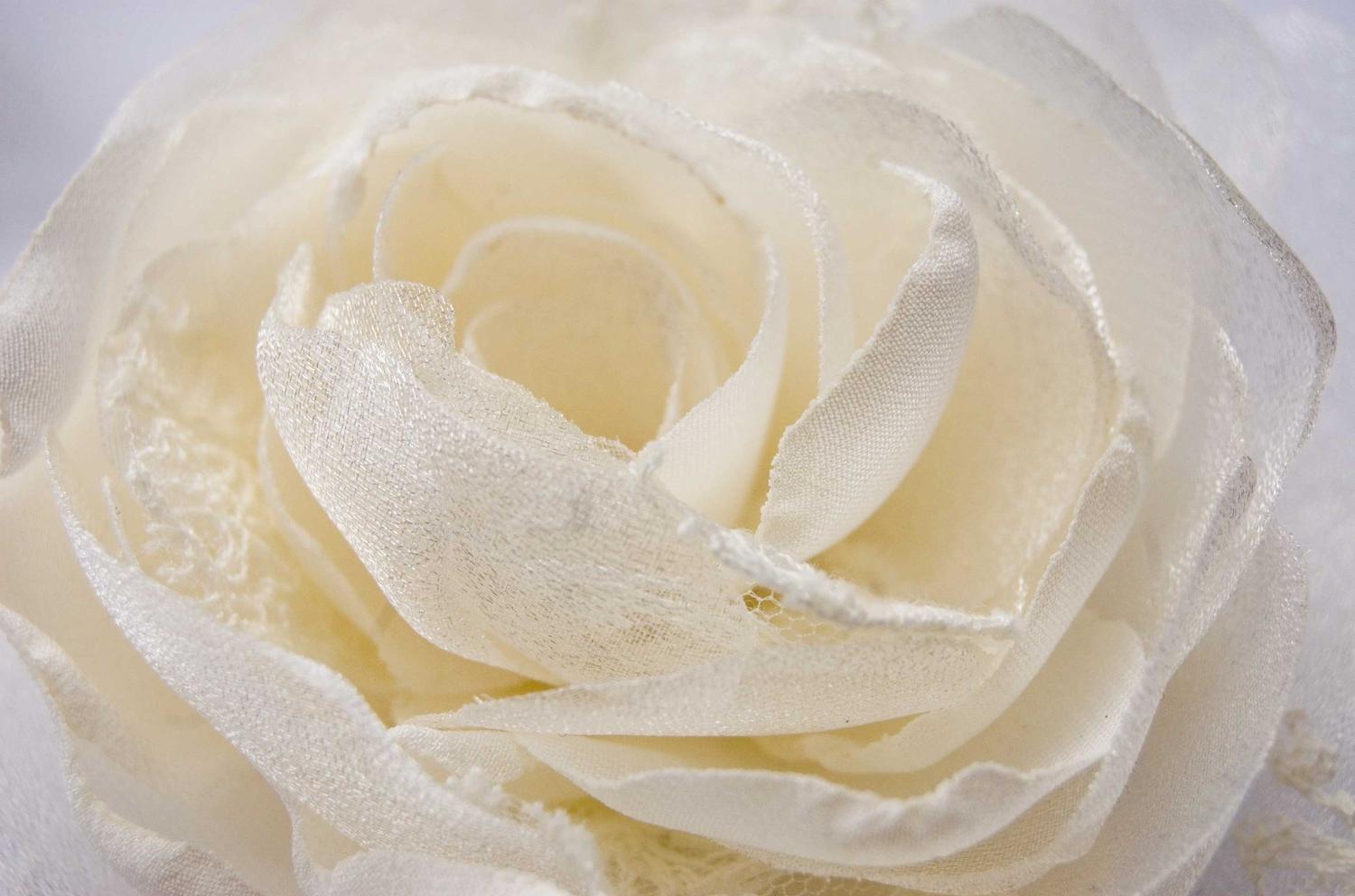 Ivory, cream, bridal flower