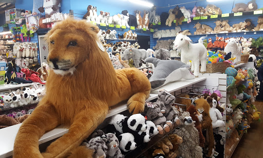 Toy Store «Toy Store», reviews and photos, 936 Massachusetts St, Lawrence, KS 66044, USA