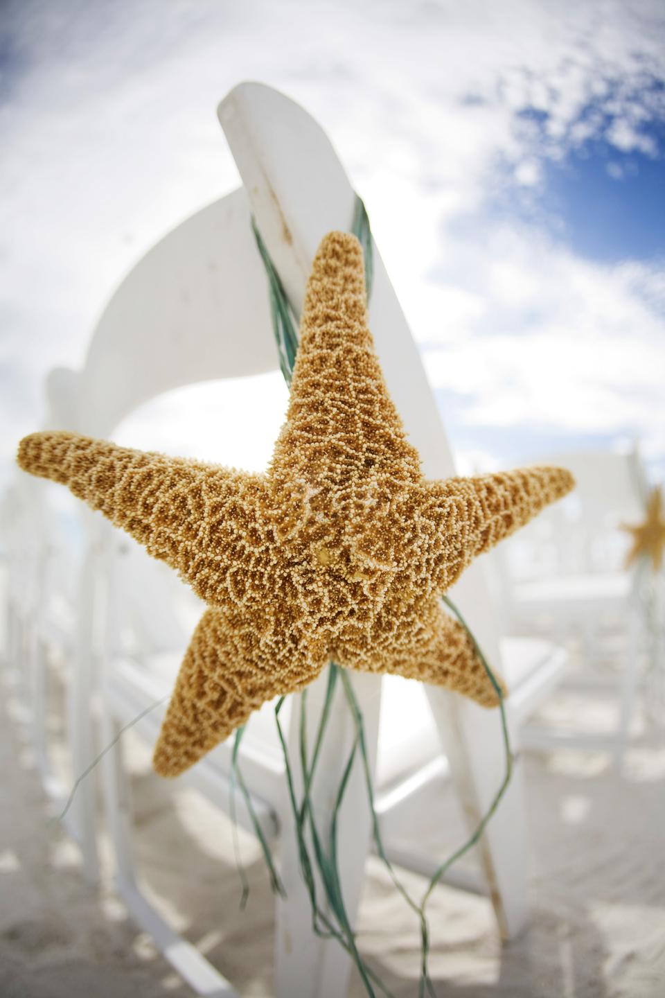 Beach Wedding-Sarasota