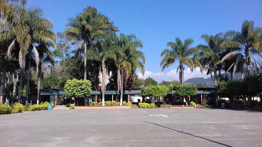 Escuela Secundaria Técnica 84, Circunvalación, s/n, El Espinal, 94330 Orizaba, Ver., México, Escuela preparatoria | VER