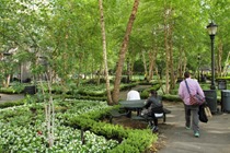 One of the many green spaces in New York