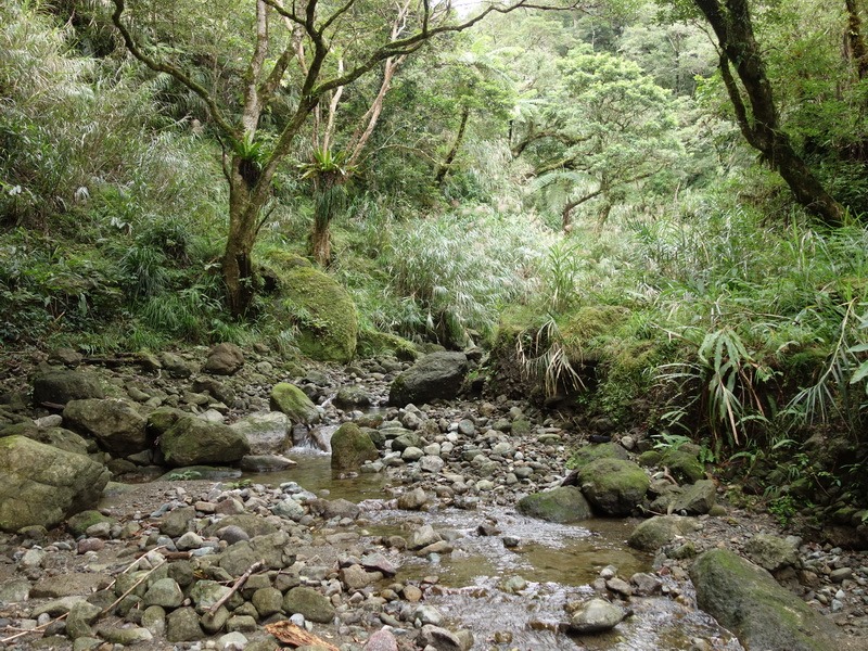 2013_1018-1025 海岸山脈-12_016