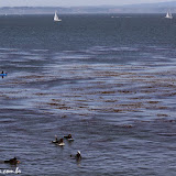 Santa Cruz, California, EUA