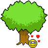 hjärta-i-träd