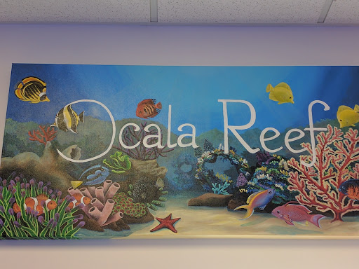 Aquarium Shop «Ocala Reef», reviews and photos, 1720 NW 4th Ave #101, Ocala, FL 34475, USA