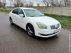 продам авто Nissan Maxima Maxima V (A33)