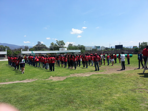 Colegío México de Tehuacán, Carretera Federal 5000, Santa Cecilia, 75855 Tehuacán, Pue., México, Escuela infantil | PUE