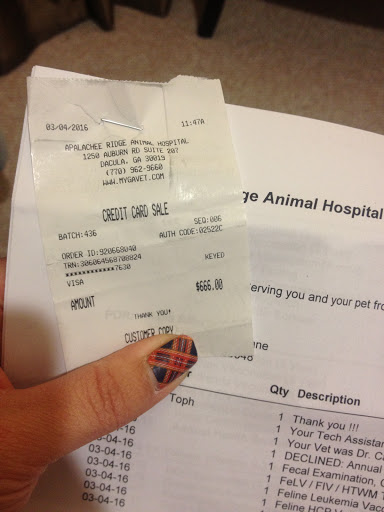 Animal Hospital «Apalachee Ridge Animal Hospital», reviews and photos