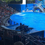 Florida Spring Break - April 2015 - 088