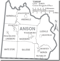 Anson-township