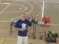 Orquídeas 6.jpg
