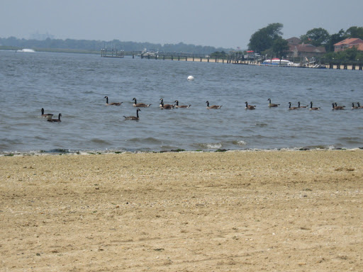 Park «Hewlett Point Park», reviews and photos, 130 Hewlett Point Ave, East Rockaway, NY 11518, USA