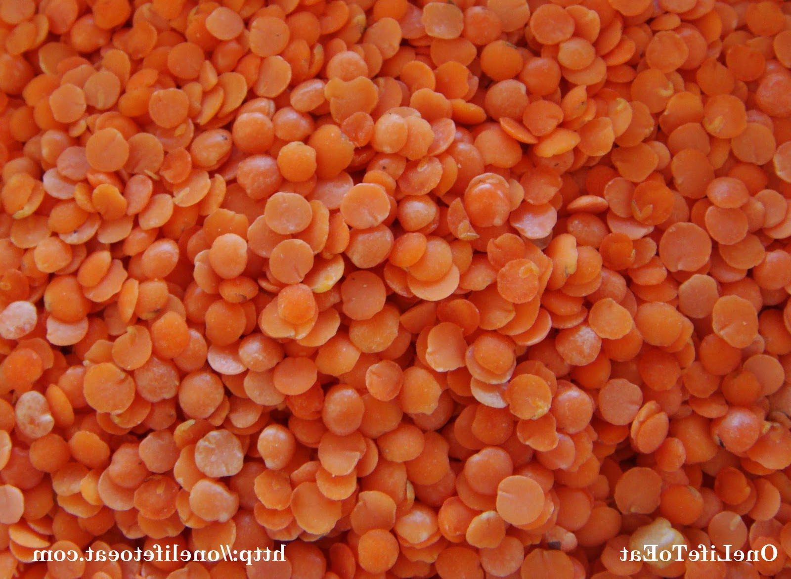 Polished Brown Lentil - Orange