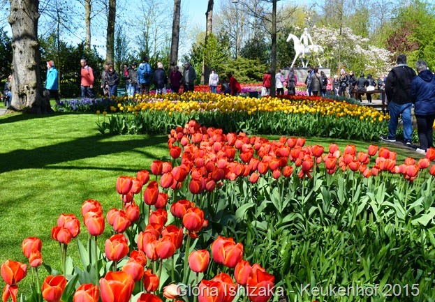 1 .Glória Ishizaka - Keukenhof 2015 - 62