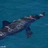 A fenomenal Napali Coast -  Kauai, Havaí, EUA