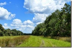 Hunt stand by trail