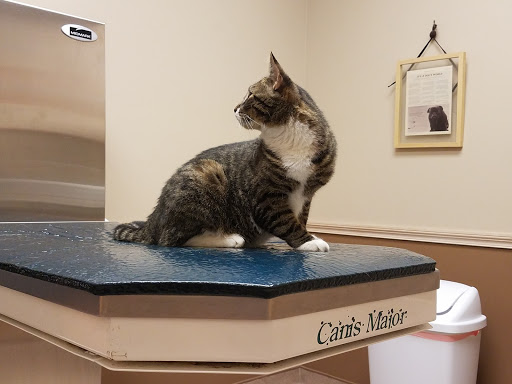 Veterinarian «Animal Health Care Center-Hershey», reviews and photos