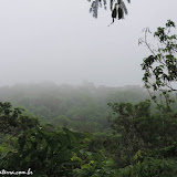 Neblina cobre Tikal, Guatemala