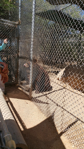 Wildlife Rescue Service «Southwest Wildlife Conservation Center», reviews and photos, 27026 N 156th St, Scottsdale, AZ 85262, USA