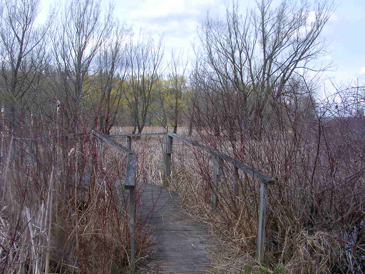 Nature Preserve «Great Flats Nature Trail», reviews and photos, W Campbell Rd, Schenectady, NY 12306, USA