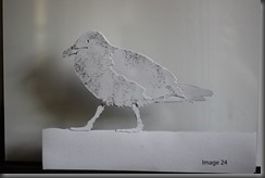 Image 24 - Ramsey gull cutout natural light